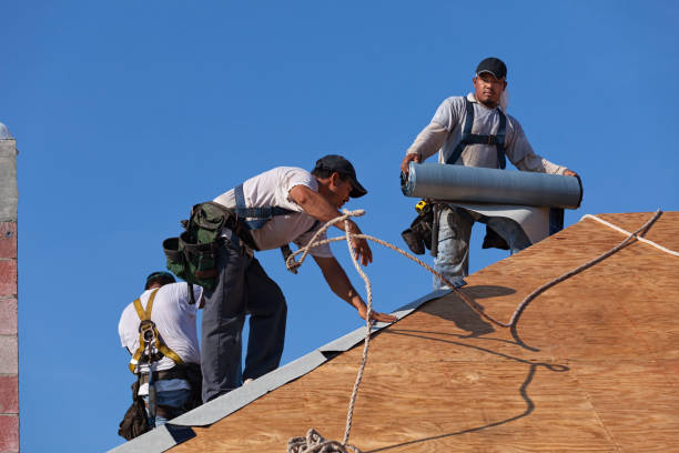 Roof Waterproofing Services in Hawaiian Paradise Park, HI