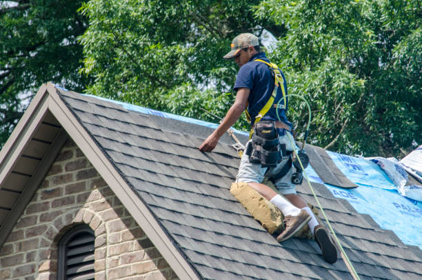 Roof Installation Near Me in Hawaiian Paradise Park, HI